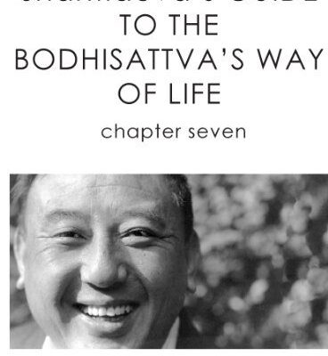 خرید و دانلود نسخه کامل کتاب Shantideva’s Guide to the Bodhisattva’s Way of Life: Chapter 7 –  +  pdf