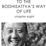 خرید و دانلود نسخه کامل کتاب Shantideva’s Guide to the Bodhisattva’s Way of Life: Chapter 8  –  +  pdf
