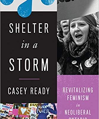 خرید و دانلود نسخه کامل کتاب Shelter in a Storm:  Revitalizing Feminism in Neoliberal Ontario