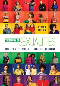 خرید و دانلود نسخه کامل کتاب Sociology of Sexualities (2nd Edition) [2020] –  +  Pdf