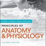 خرید و دانلود نسخه کامل کتاب Test Bank Principles of Anatomy and Physiology (15th Edition) – Word