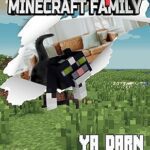 خرید و دانلود نسخه کامل کتاب The Accidental Minecraft Family: Ya Darn Cat –  +  PDF