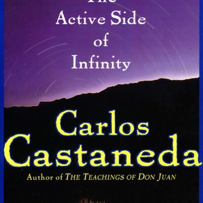 خرید و دانلود نسخه کامل کتاب The active side of infinity –  +  PDF