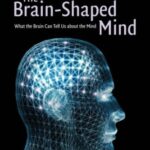 خرید و دانلود نسخه کامل کتاب The brain-shaped mind: what the brain can tell us about the mind –  PDF