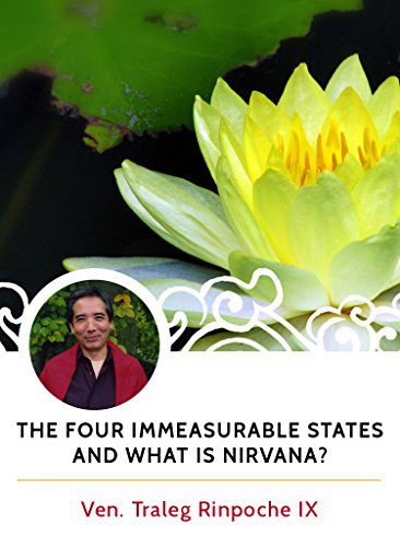 خرید و دانلود نسخه کامل کتاب The Four Immeasurable States and What is Nirvana? –  +  pdf