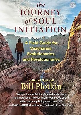 خرید و دانلود نسخه کامل کتاب The Journey of Soul Initiation: A Field Guide for Visionaries, Evolutionaries, and Revolutionaries –  +  Pdf