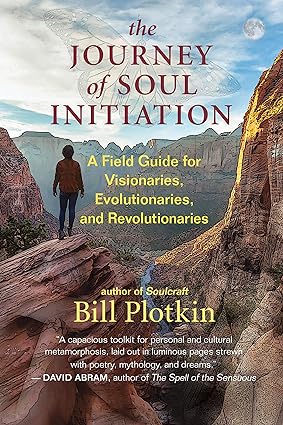 خرید و دانلود نسخه کامل کتاب The Journey of Soul Initiation: A Field Guide for Visionaries, Evolutionaries, and Revolutionaries – + Pdf_683d5cd7238db.jpeg خرید و دانلود نسخه کامل کتاب The Journey of Soul Initiation: A Field Guide for Visionaries, Evolutionaries, and Revolutionaries – + Pdf