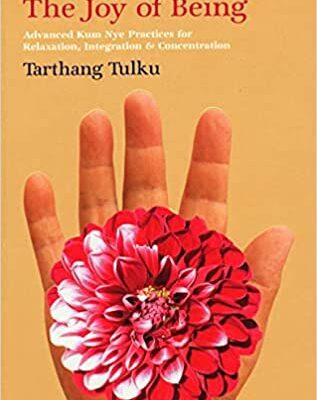 خرید و دانلود نسخه کامل کتاب The Joy of Being: Advanced Kum Nye Practices for Relaxation, Integration & Concentration [2016] –  +  pdf