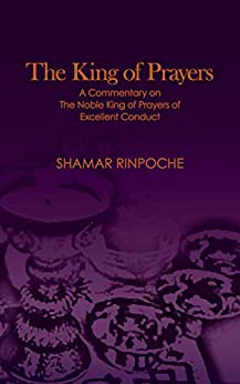 خرید و دانلود نسخه کامل کتاب The King of Prayers: A Commentary on The Noble King of Prayers of Excellent Conduct –  +  pdf