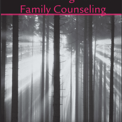 خرید و دانلود نسخه کامل کتاب The Role of Religion in Marriage and Family Counseling (The Family Therapy and Counseling Series) –  PDF