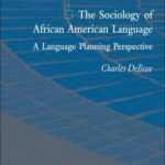 خرید و دانلود نسخه کامل کتاب The Sociology of African American Language: A Language Planning Perspective –  PDF