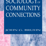 خرید و دانلود نسخه کامل کتاب The sociology of community connections –  PDF