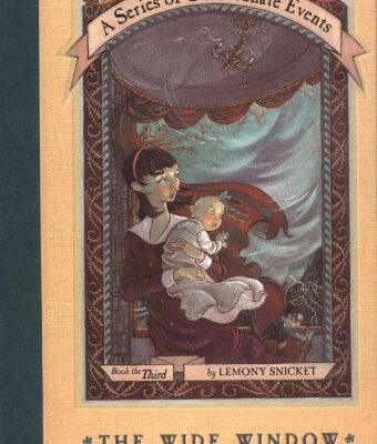 خرید و دانلود نسخه کامل کتاب The Wide Window (A Series of Unfortunate Events, Book 3) –  PDF