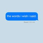 خرید و دانلود نسخه کامل کتاب the words i wish i said: by caitlin kelly –  +  Pdf