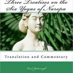خرید و دانلود نسخه کامل کتاب Three Treatises on the Six Yogas of Naropa –  +  pdf