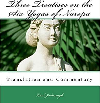 خرید و دانلود نسخه کامل کتاب Three Treatises on the Six Yogas of Naropa –  +  pdf