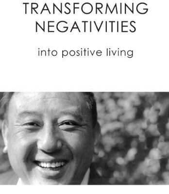 خرید و دانلود نسخه کامل کتاب Transforming Negativities –  +  pdf