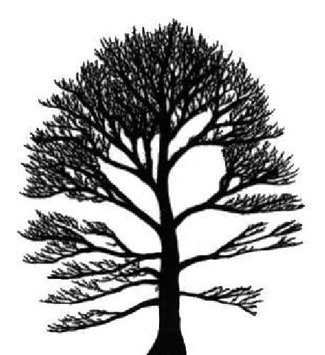 خرید و دانلود نسخه کامل کتاب Tree automata techniques and applications_6861aaf691e6b.jpeg خرید و دانلود نسخه کامل کتاب Tree automata techniques and applications