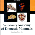 خرید و دانلود نسخه کامل کتاب Veterinary Anatomy of Domestic Mammals 3rd edition – PDF