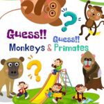 خرید و دانلود نسخه کامل کتاب Vocabulary – Flashcards about Animal Monkeys and Primates: It enhances concentration and imagination as well for Kid and Preschool to Learning & Skill development –  +  PDF