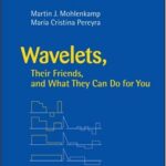خرید و دانلود نسخه کامل کتاب Wavelets, Their Friends, and What They Can Do for You – PDF