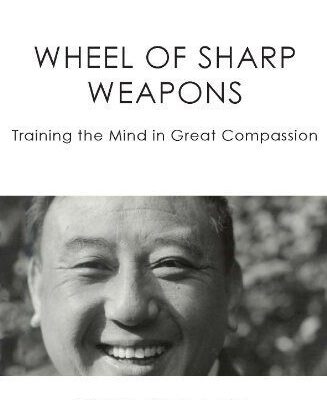 خرید و دانلود نسخه کامل کتاب Wheel of Sharp Weapons –  +  pdf