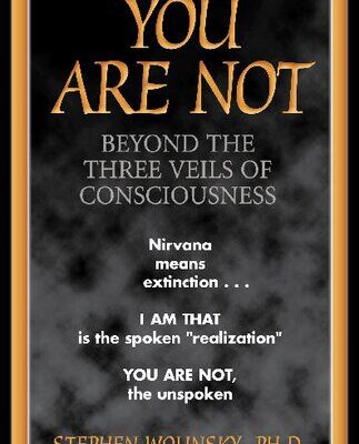 خرید و دانلود نسخه کامل کتاب You Are Not: Beyond the Three Veils of Consciousness –  PDF