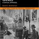 خرید و دانلود نسخه کامل کتاب Youth Street Gangs: A critical appraisal (New Directions in Critical Criminology Book 10) –  PDF