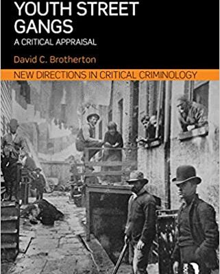 خرید و دانلود نسخه کامل کتاب Youth Street Gangs: A critical appraisal (New Directions in Critical Criminology Book 10) –  PDF