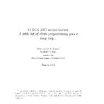 خرید و دانلود نسخه کامل کتاب A Little Bit Of Stata Programming Goes A Long Way