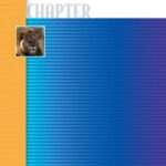 خرید و دانلود نسخه کامل کتاب Absolute C++