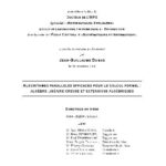 خرید و دانلود نسخه کامل کتاب Algorithmes paralleles pour le calcul formel: algebre lineaire creuse et extensions algebriques