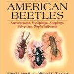 خرید و دانلود نسخه کامل کتاب American Beetles, Volume I: Archostemata, Myxophaga, Adephaga, Polyphaga: Staphyliniformia -  PDF