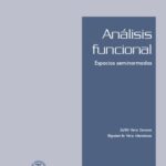 خرید و دانلود نسخه کامل کتاب Analisis funcional.Espacios seminormados.
