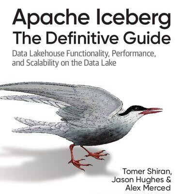 خرید و دانلود نسخه کامل کتاب Apache Iceberg: The Definitive Guide: Data Lakehouse Functionality, Performance, and Scalability on the Data Lake