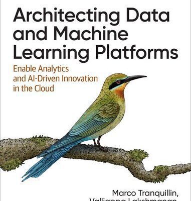 خرید و دانلود نسخه کامل کتاب Architecting Data and Machine Learning Platforms: Enable Analytics and AI-Driven Innovation in the Cloud (Final)