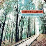 خرید و دانلود نسخه کامل کتاب Beginning Algebra (13th Edition) [2020] -  PDF