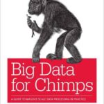 خرید و دانلود نسخه کامل کتاب Big Data for Chimps: A Guide to Massive-Scale Data Processing in Practice