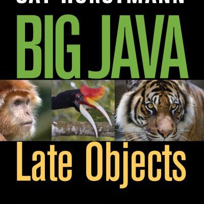 خرید و دانلود نسخه کامل کتاب Big Java Late Objects