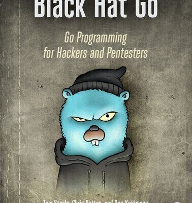 خرید و دانلود نسخه کامل کتاب Black Hat Go: Go Programming For Hackers and Pentesters