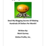 خرید و دانلود نسخه کامل کتاب Blogging Gold Profits