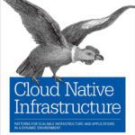 خرید و دانلود نسخه کامل کتاب Cloud Native Infrastructure: Patterns for Scalable Infrastructure and Applications in a Dynamic Environment