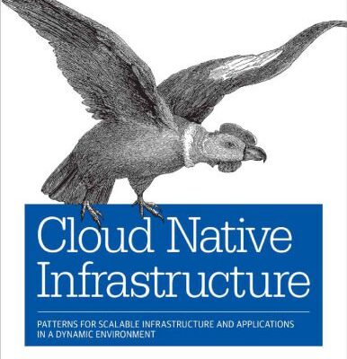 خرید و دانلود نسخه کامل کتاب Cloud Native Infrastructure: Patterns for Scalable Infrastructure and Applications in a Dynamic Environment