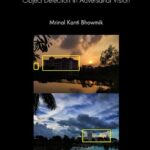 خرید و دانلود نسخه کامل کتاب Computer Vision: Object Detection In Adversarial Vision