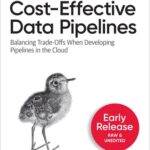 خرید و دانلود نسخه کامل کتاب Cost-Effective Data Pipelines