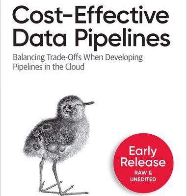 خرید و دانلود نسخه کامل کتاب Cost-Effective Data Pipelines