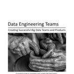 خرید و دانلود نسخه کامل کتاب Data Engineering Teams