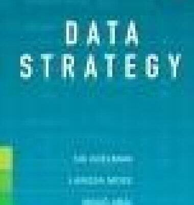 خرید و دانلود نسخه کامل کتاب Data Strategy