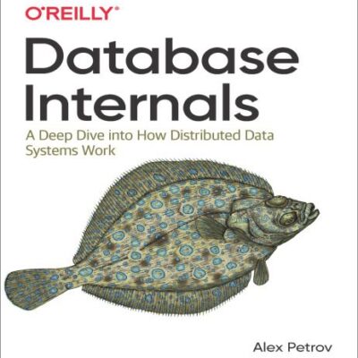 خرید و دانلود نسخه کامل کتاب Database Internals: A deep-dive into how distributed data systems work