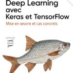 خرید و دانلود نسخه کامل کتاب Deep Learning avec Keras et TensorFlow : Mise en oeuvre et cas concrets